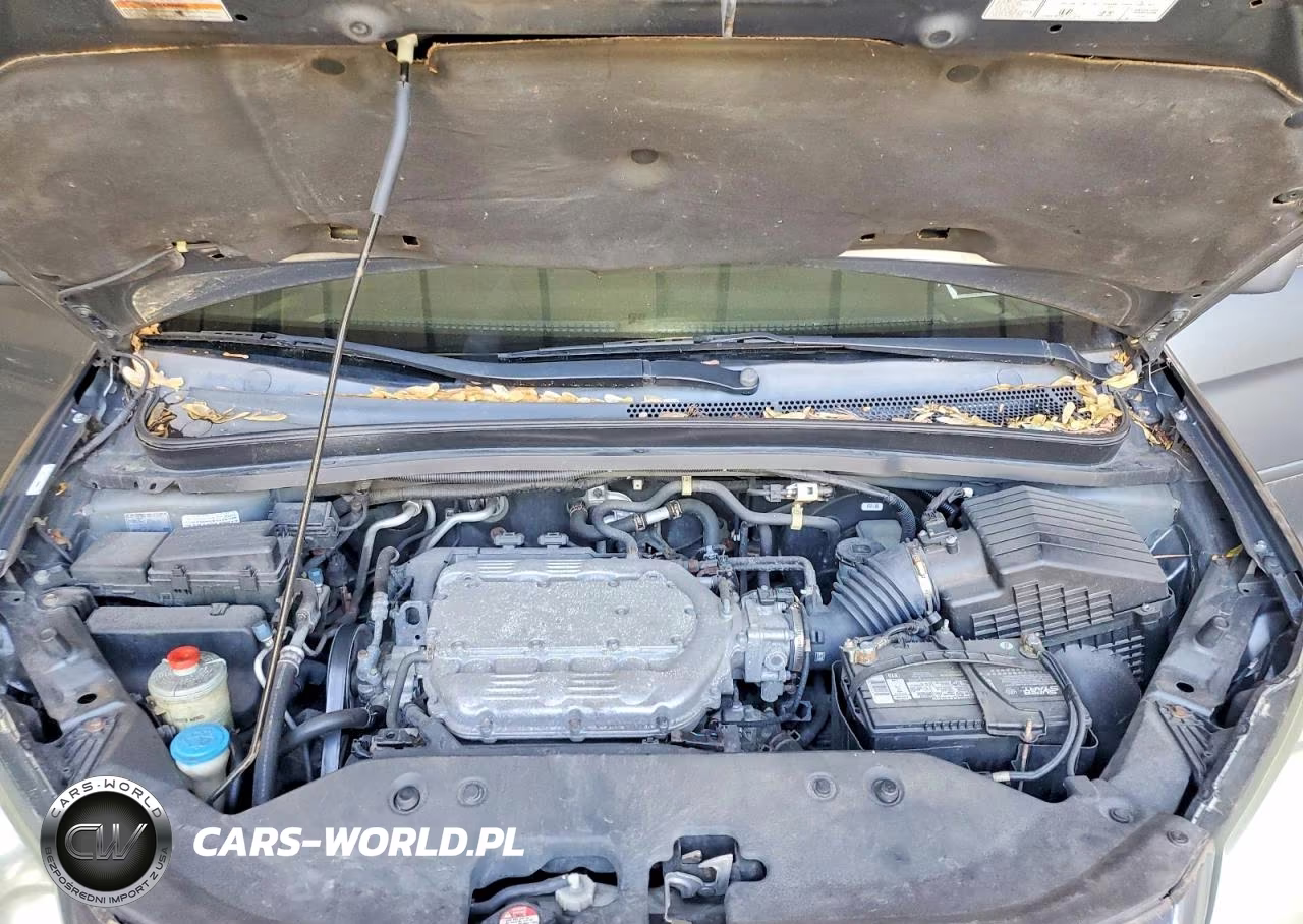 2009 Honda Odyssey Ex VIN:5FNRL38769B402962 - 12