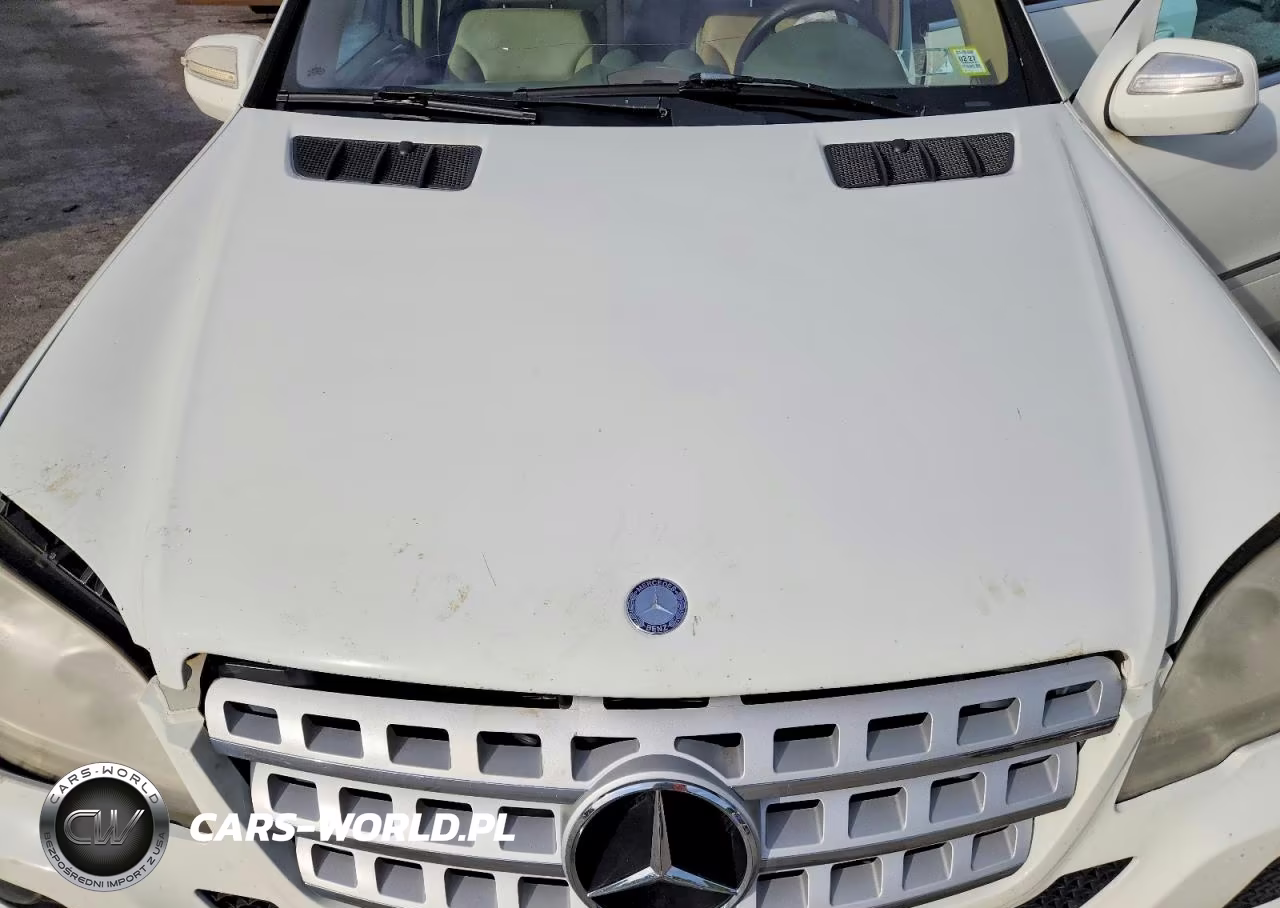 2010 Mercedes-Benz Ml 350 4Matic VIN:4JGBB8GB3AA544038 - 12
