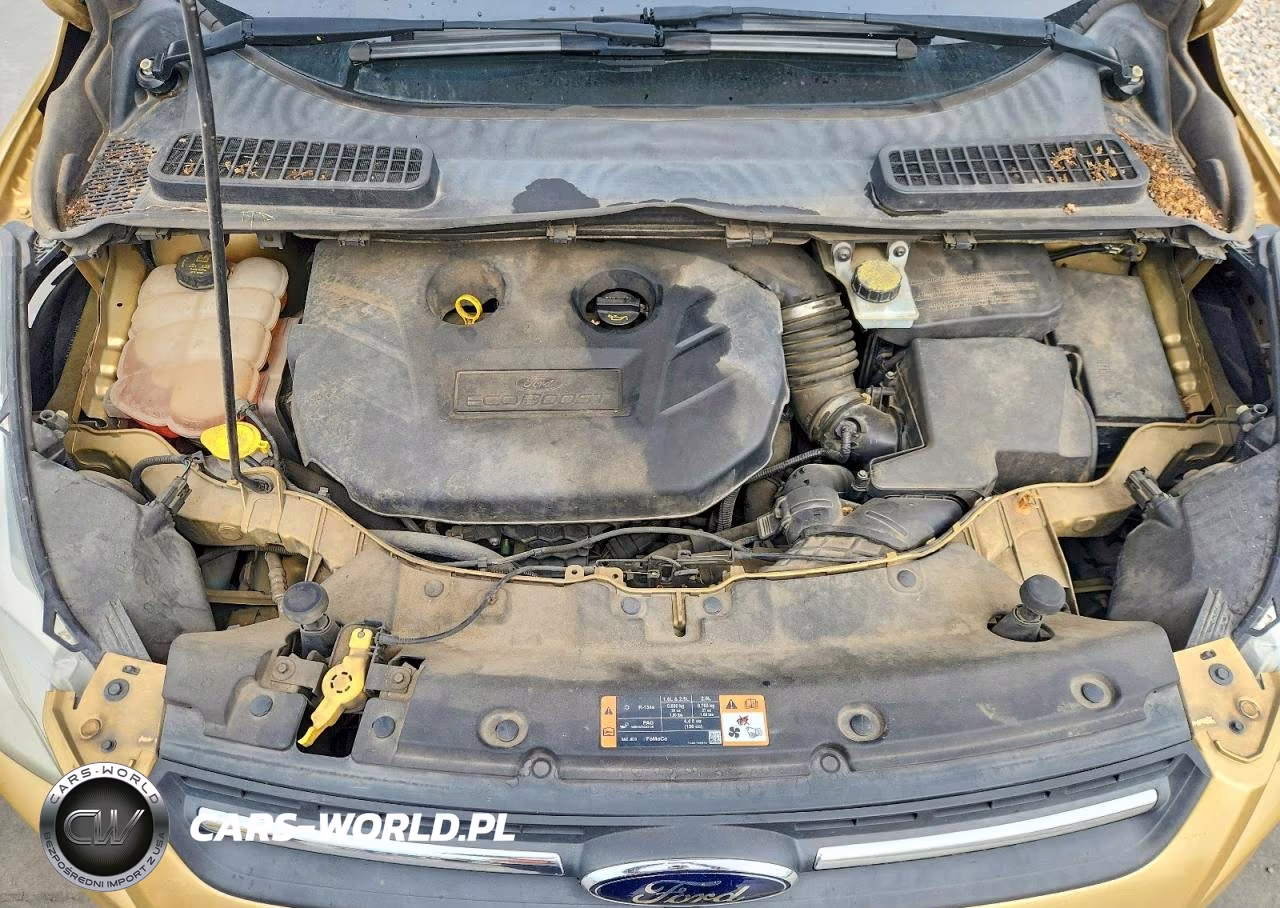 2014 Ford Escape Se VIN:1FMCU0G93EUC36739 - 12