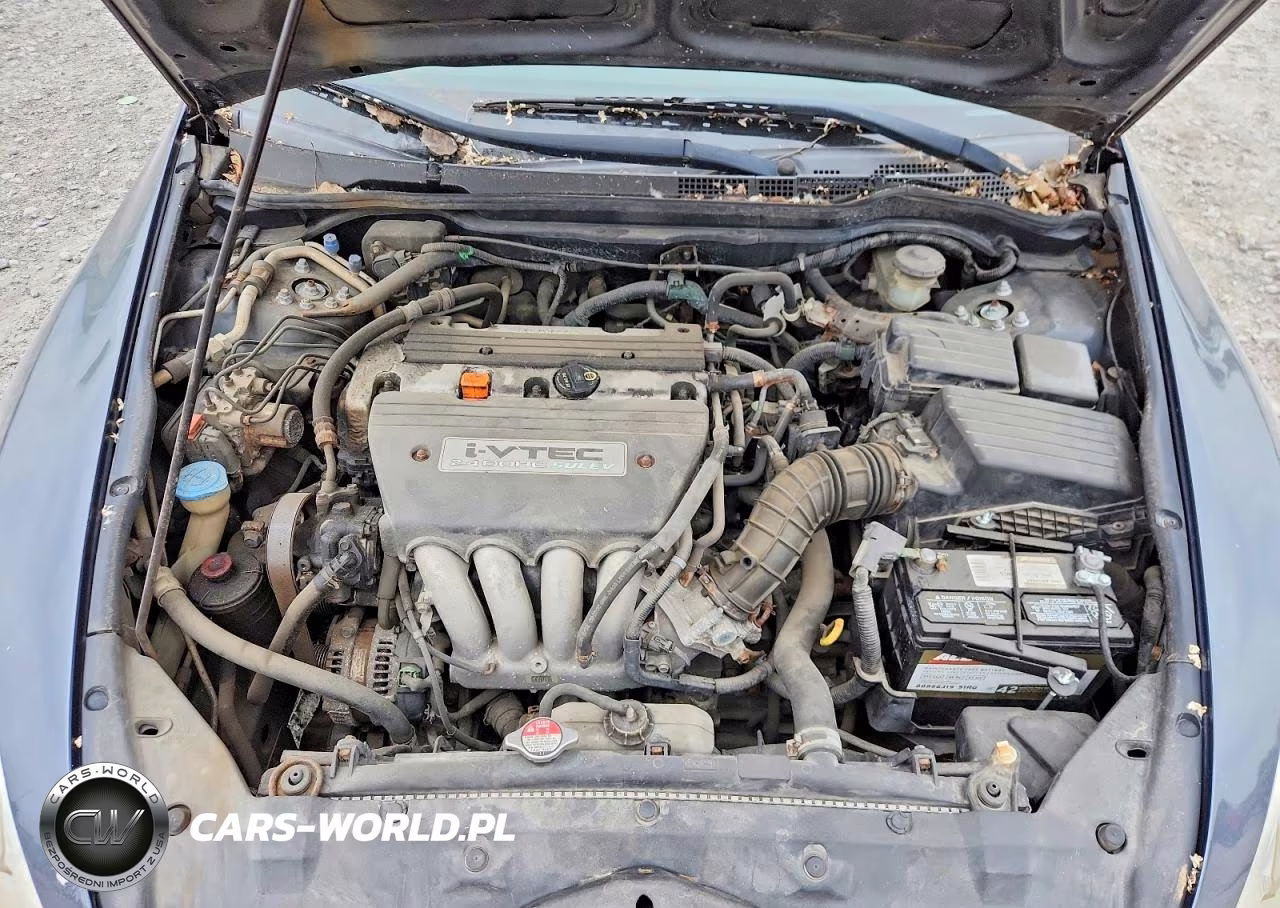 2006 Honda Accord Se VIN:1HGCM56376A061866 - 11