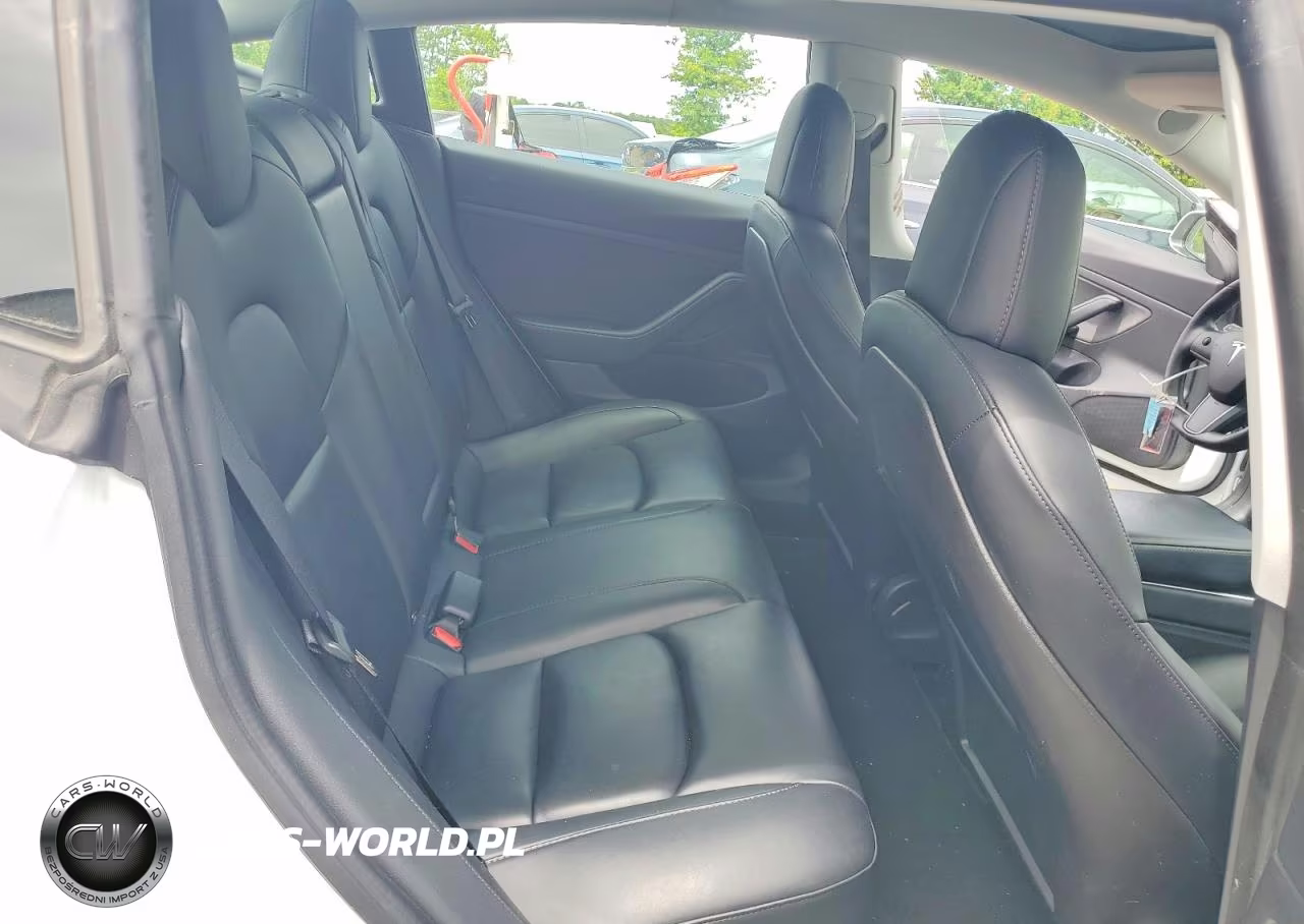 2020 Tesla Model 3 VIN:5YJ3E1EA5LF614263 - 10