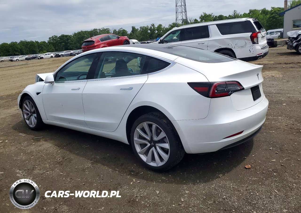 2020 Tesla Model 3 VIN:5YJ3E1EA5LF614263 - 2