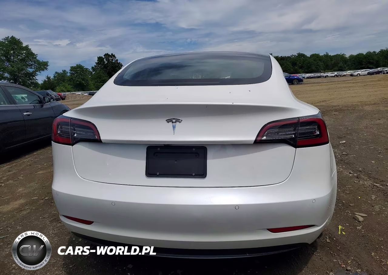 2020 Tesla Model 3 VIN:5YJ3E1EA5LF614263 - 6