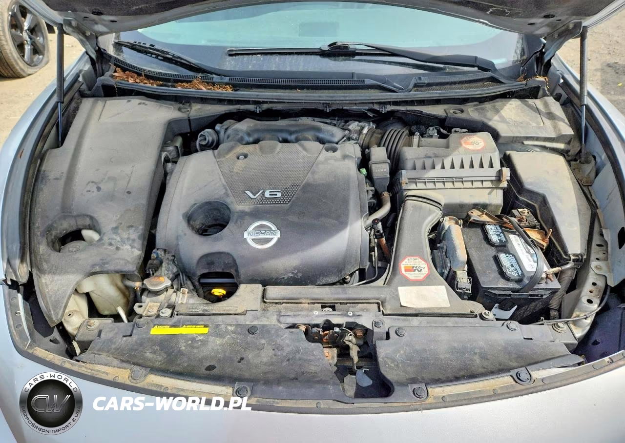 2009 Nissan Maxima 3.5 S VIN:1N4AA51E39C854877 - 11