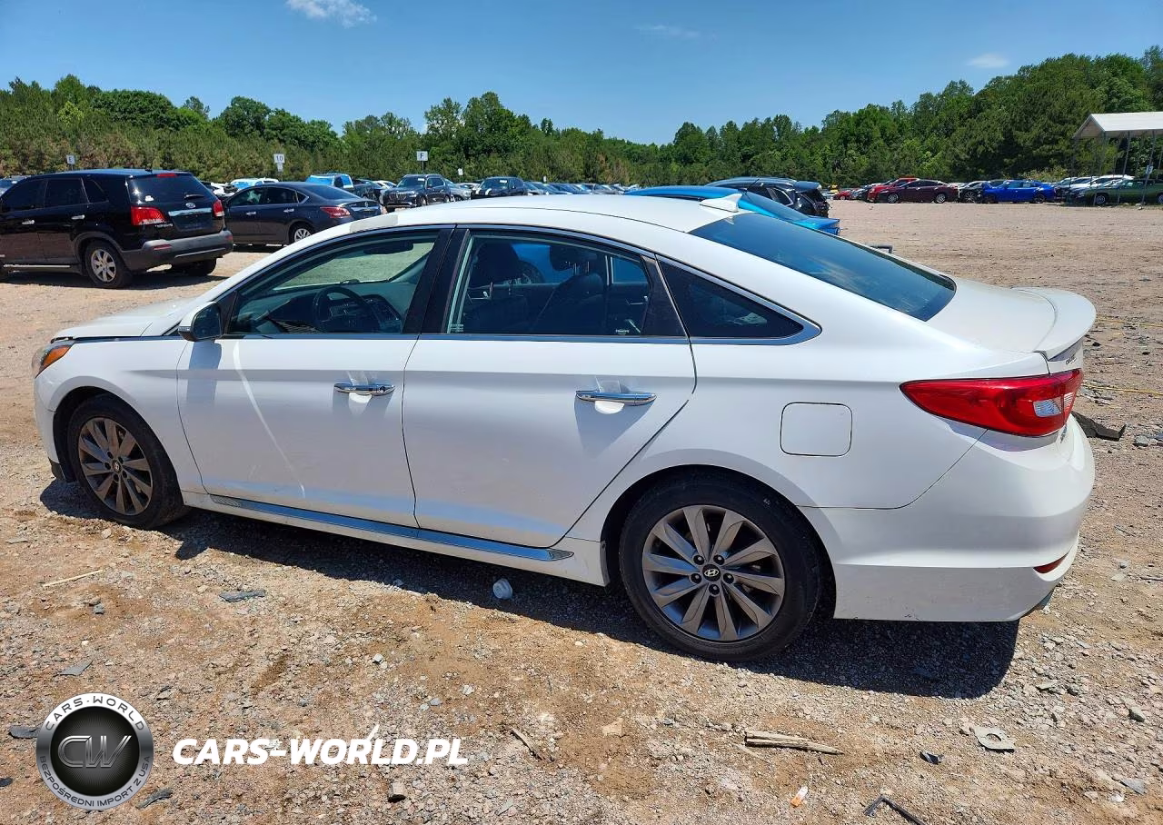 2015 Hyundai Sonata Sport VIN:5NPE34AF3FH082809 - 2