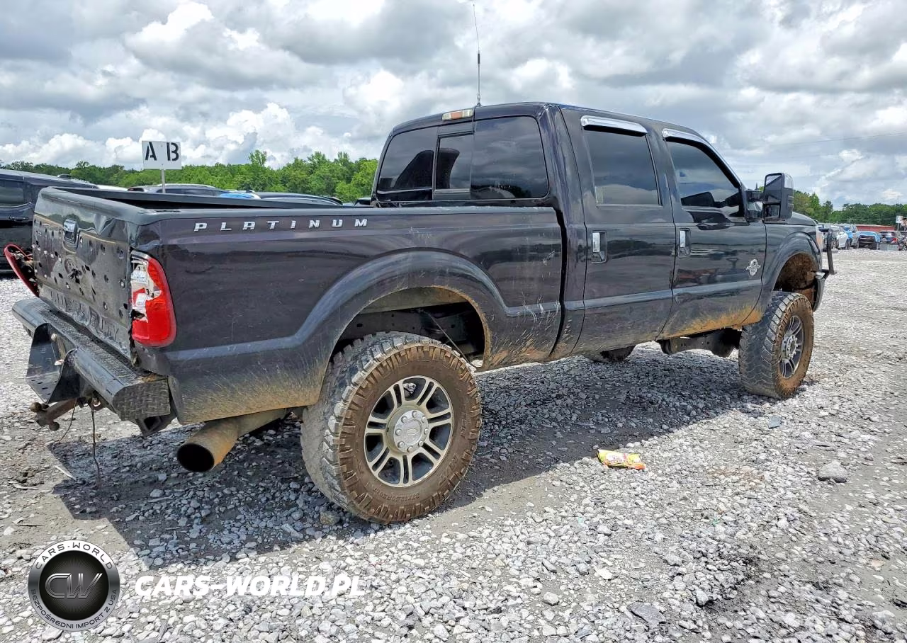 2014 Ford F350 Super Duty VIN:1FT8W3BT0EEB00507 - 3
