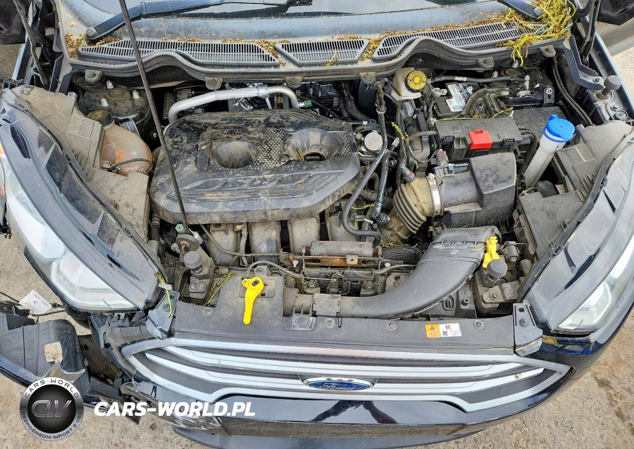 2018 Ford Ecosport Se VIN:MAJ6P1UL7JC240815 - 12