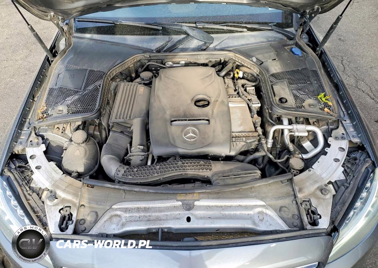2017 Mercedes-Benz C 300 4Matic VIN:55SWF4KB8HU194691 - 11