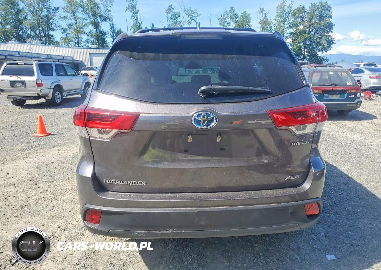 2019 Toyota Highlander Hybrid Xle VIN:5TDJGRFH7KS053778 - 6