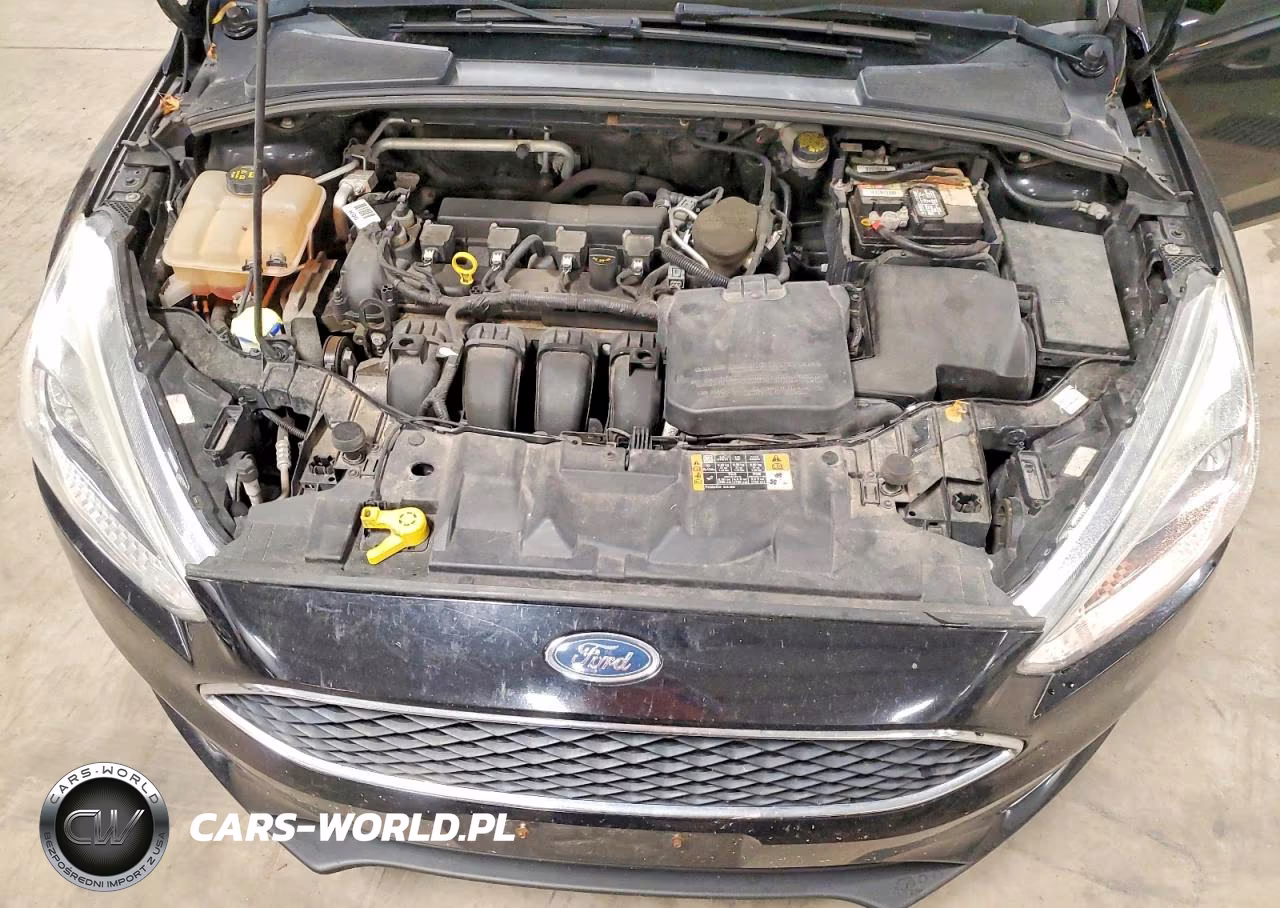 2016 Ford Focus Se VIN:1FADP3K22GL246155 - 11