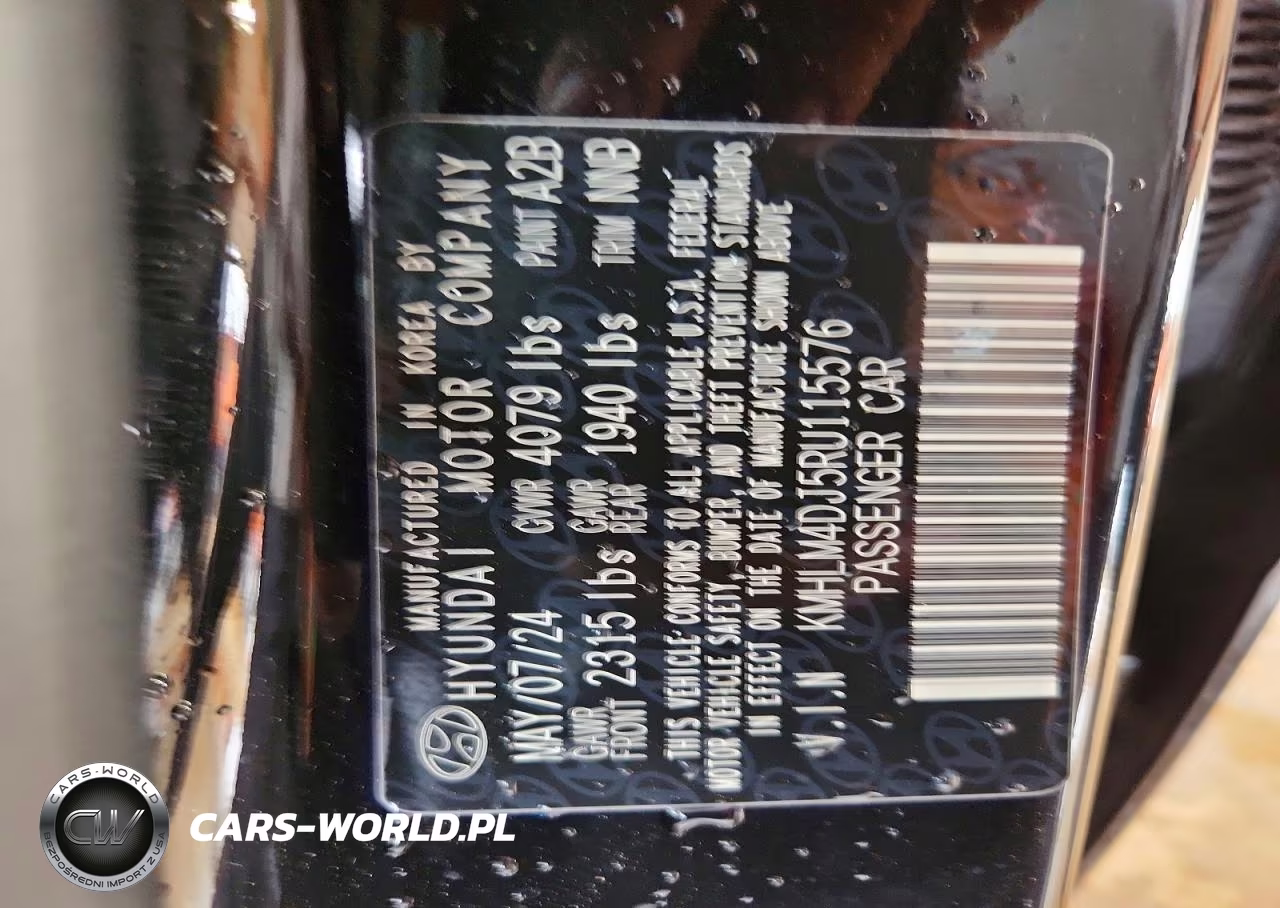 2024 Hyundai Elantra Blue VIN:KMHLM4DJ5RU115576 - 13