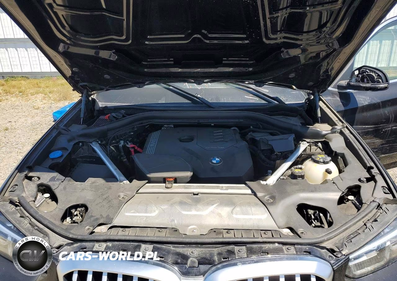 2022 BMW X3 Sdrive30I VIN:5UX43DP01N9N22711 - 12