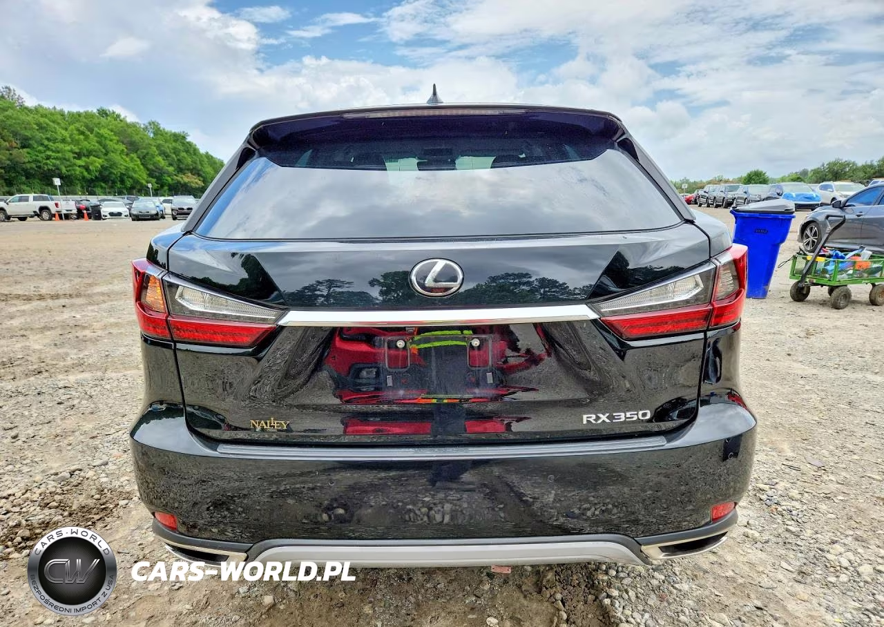 2020 Lexus Rx 350 Base VIN:2T2AZMAA6LC159782 - 6
