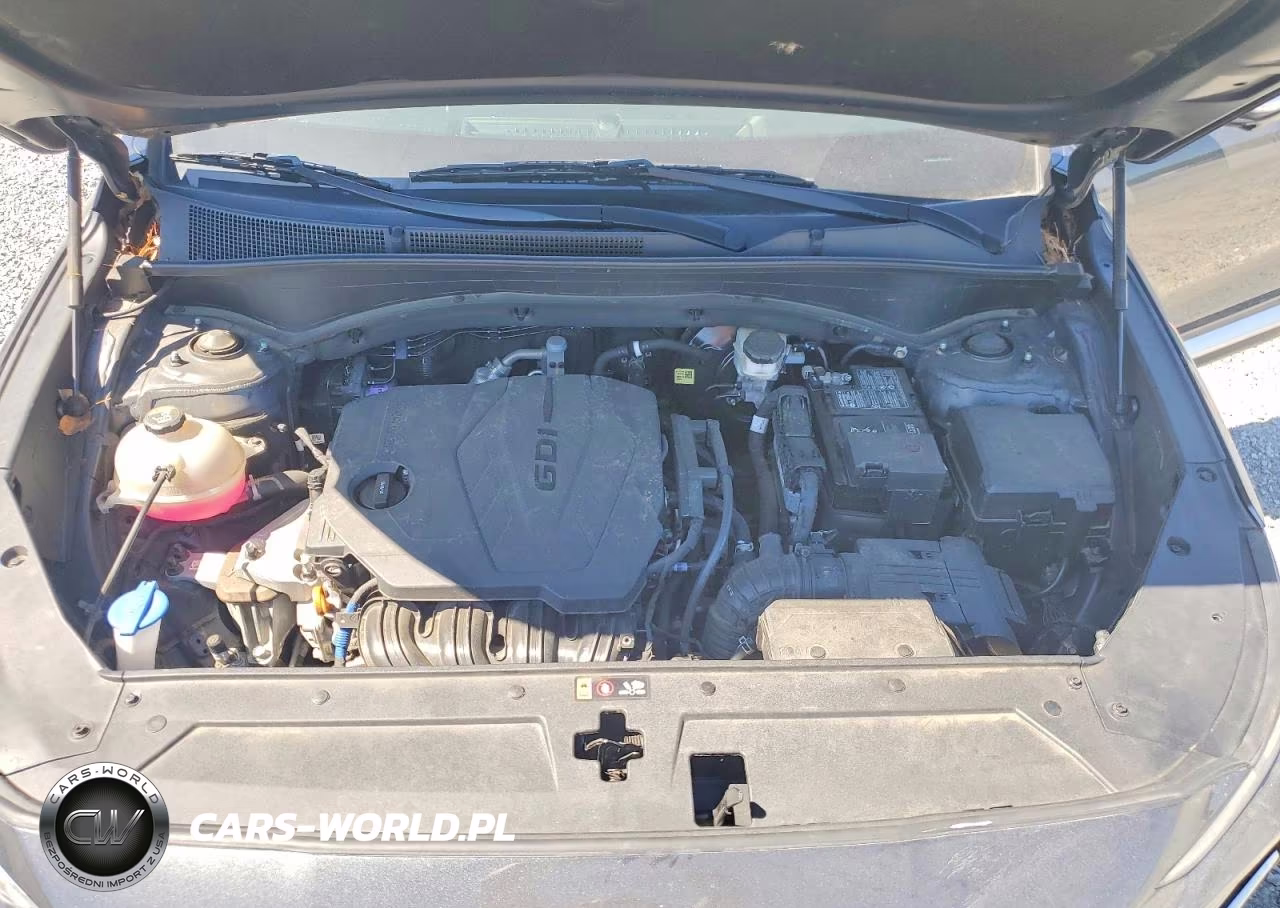 2023 Hyundai Santa Fe Sel Premium VIN:5NMS3DAJXPH552212 - 11