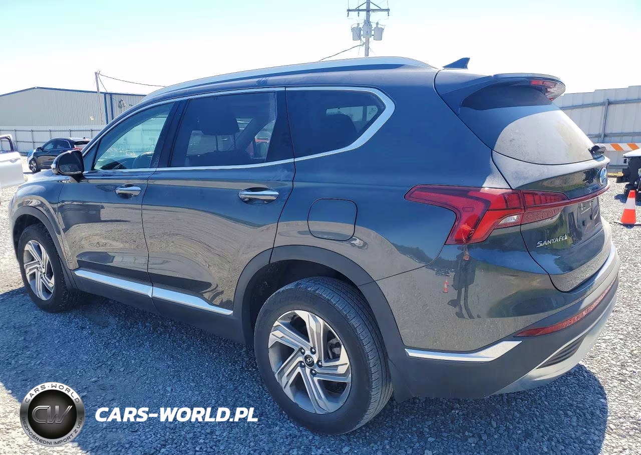2023 Hyundai Santa Fe Sel Premium VIN:5NMS3DAJXPH552212 - 2