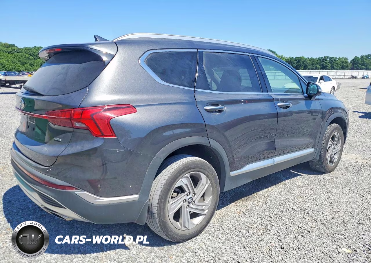 2023 Hyundai Santa Fe Sel Premium VIN:5NMS3DAJXPH552212 - 3