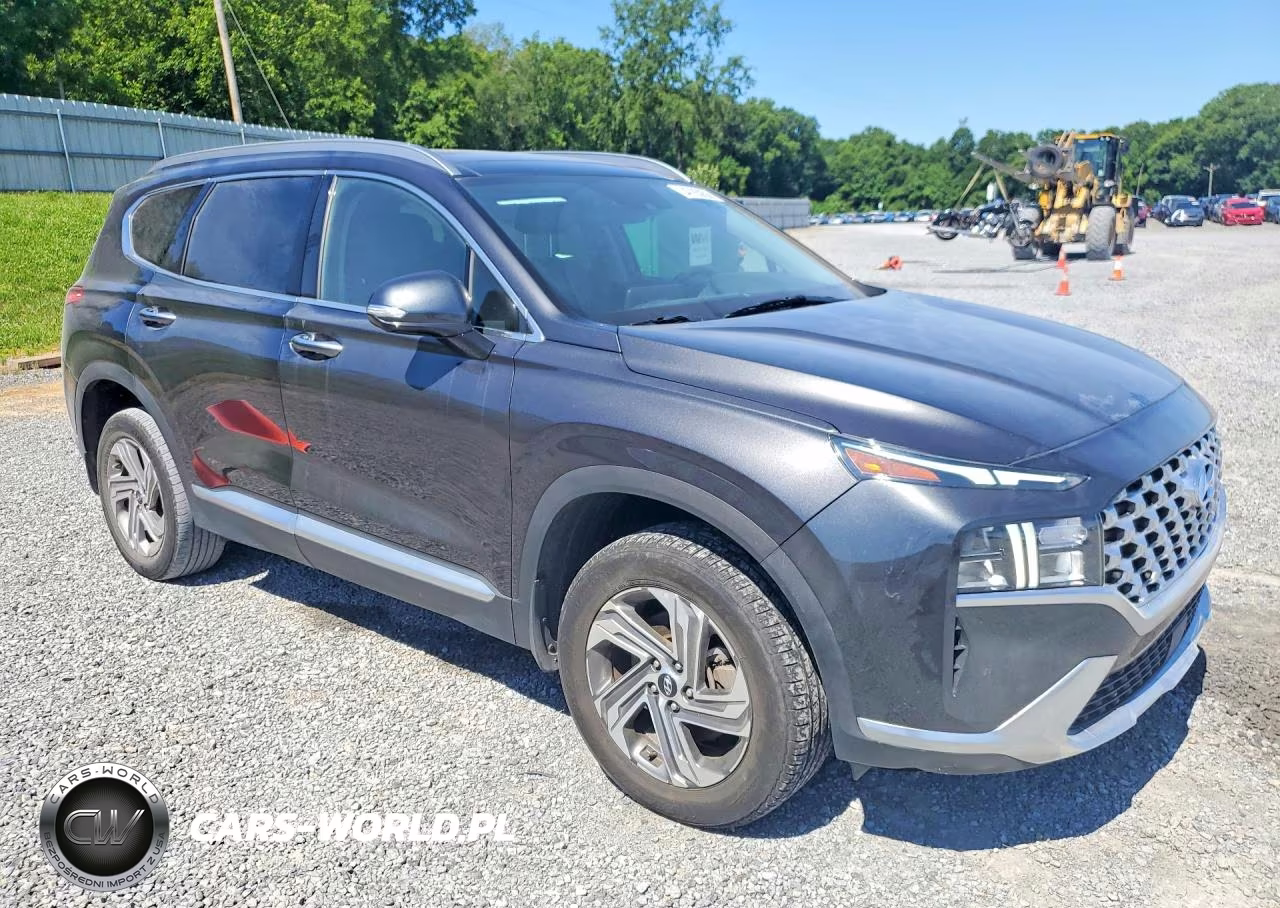 2023 Hyundai Santa Fe Sel Premium VIN:5NMS3DAJXPH552212 - 4
