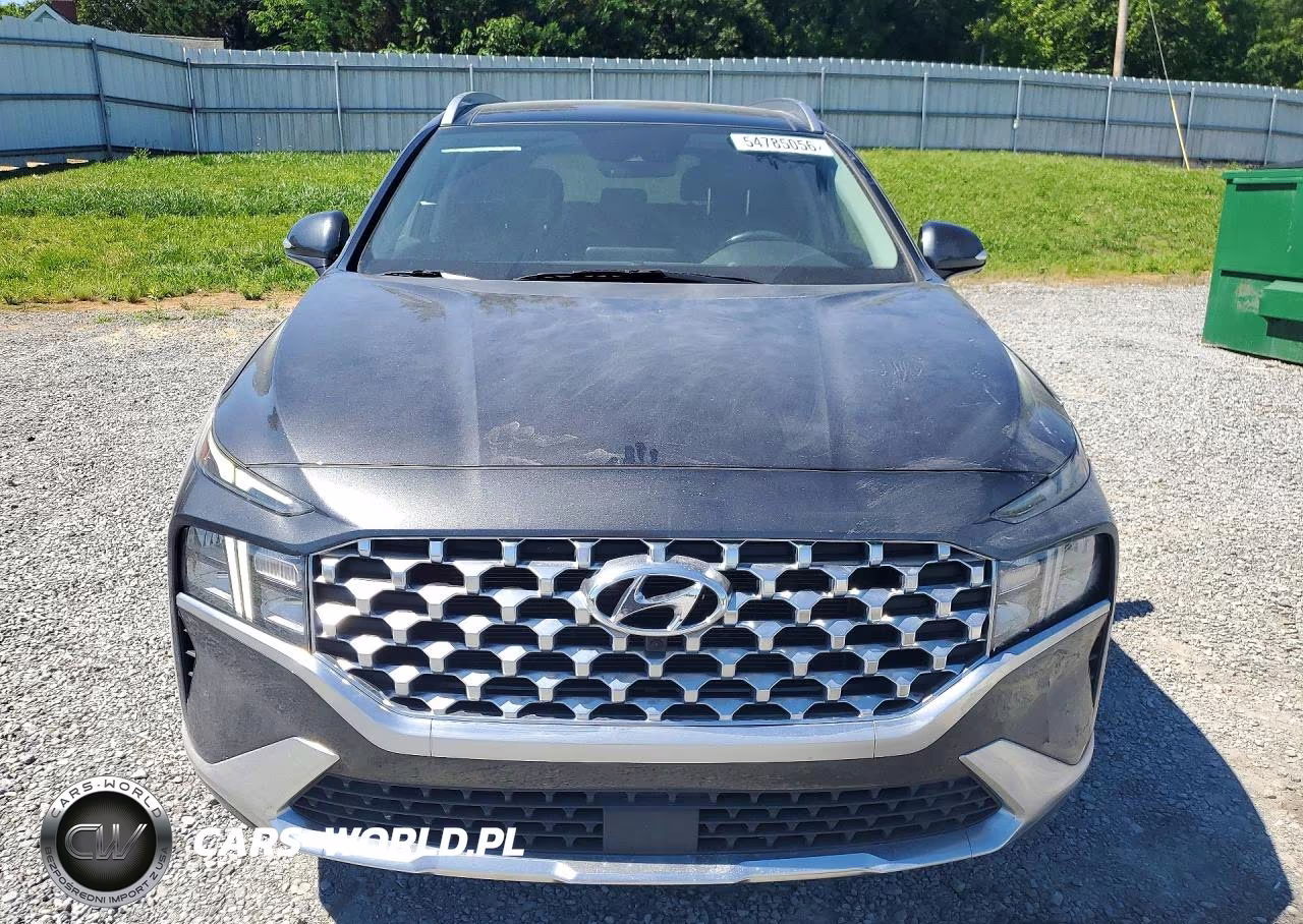 2023 Hyundai Santa Fe Sel Premium VIN:5NMS3DAJXPH552212 - 5