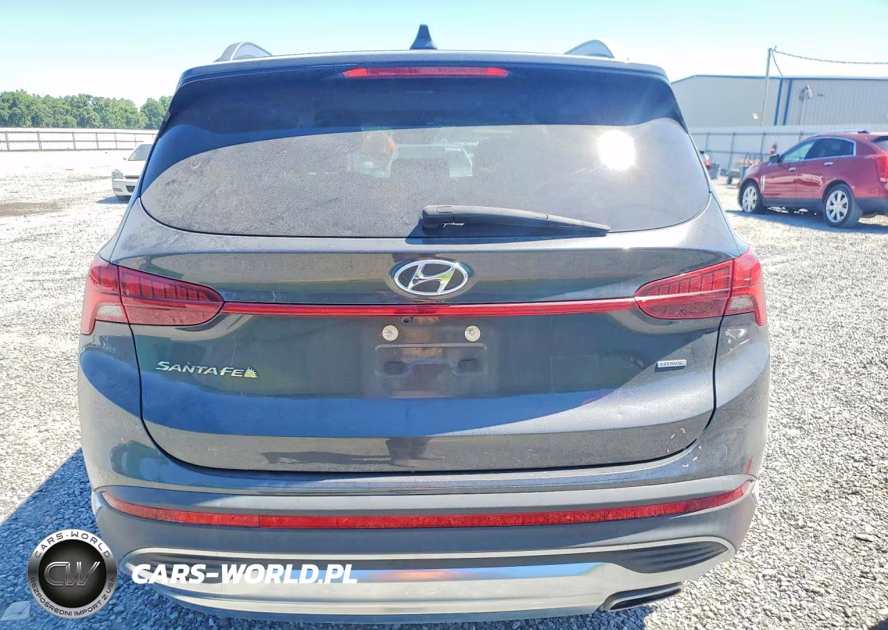 2023 Hyundai Santa Fe Sel Premium VIN:5NMS3DAJXPH552212 - 6