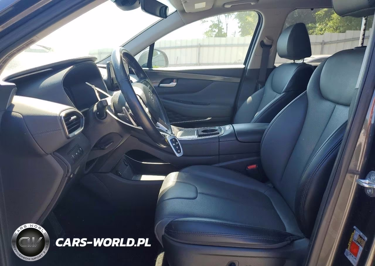 2023 Hyundai Santa Fe Sel Premium VIN:5NMS3DAJXPH552212 - 7