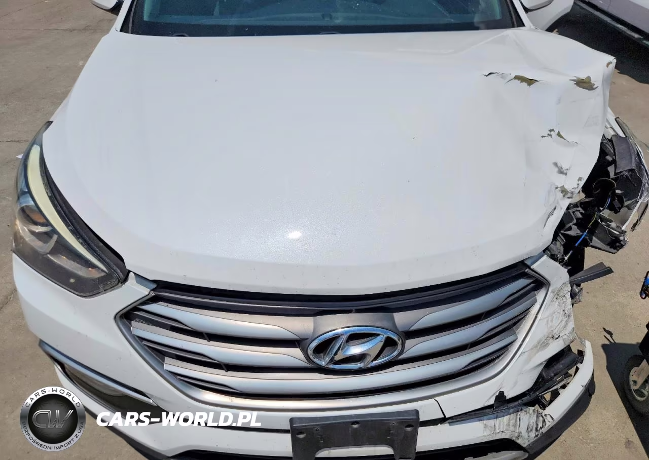 2017 Hyundai Santa Fe Sport 2.4L VIN:5NMZU3LB1HH048757 - 12
