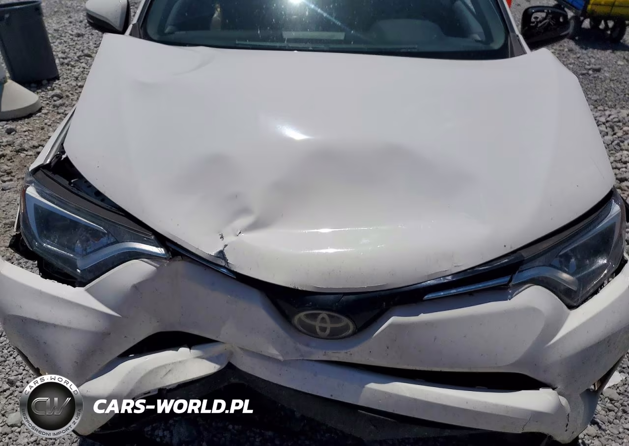 2017 Toyota Rav4 Xle VIN:JTMRFREV6HJ113617 - 12