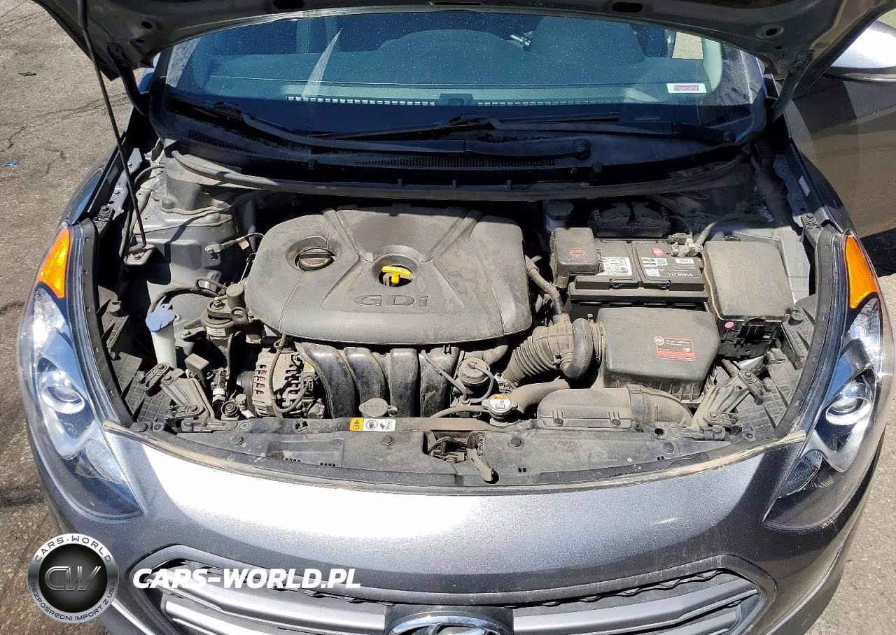 2016 Hyundai Elantra Gt Base VIN:KMHD35LHXGU342254 - 11