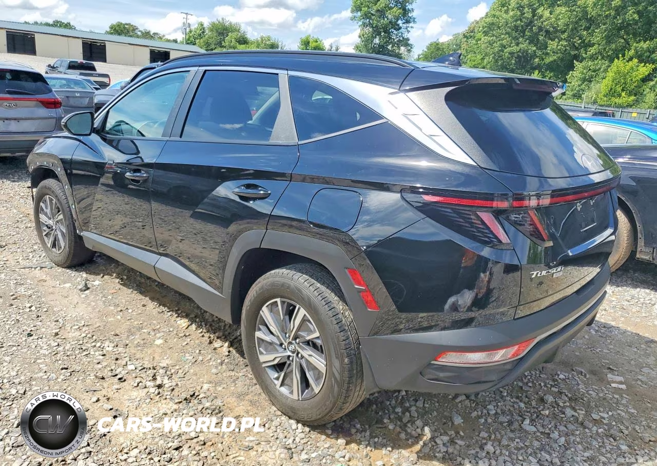 2023 Hyundai Tucson Blue VIN:KM8JBCA16PU094861 - 2