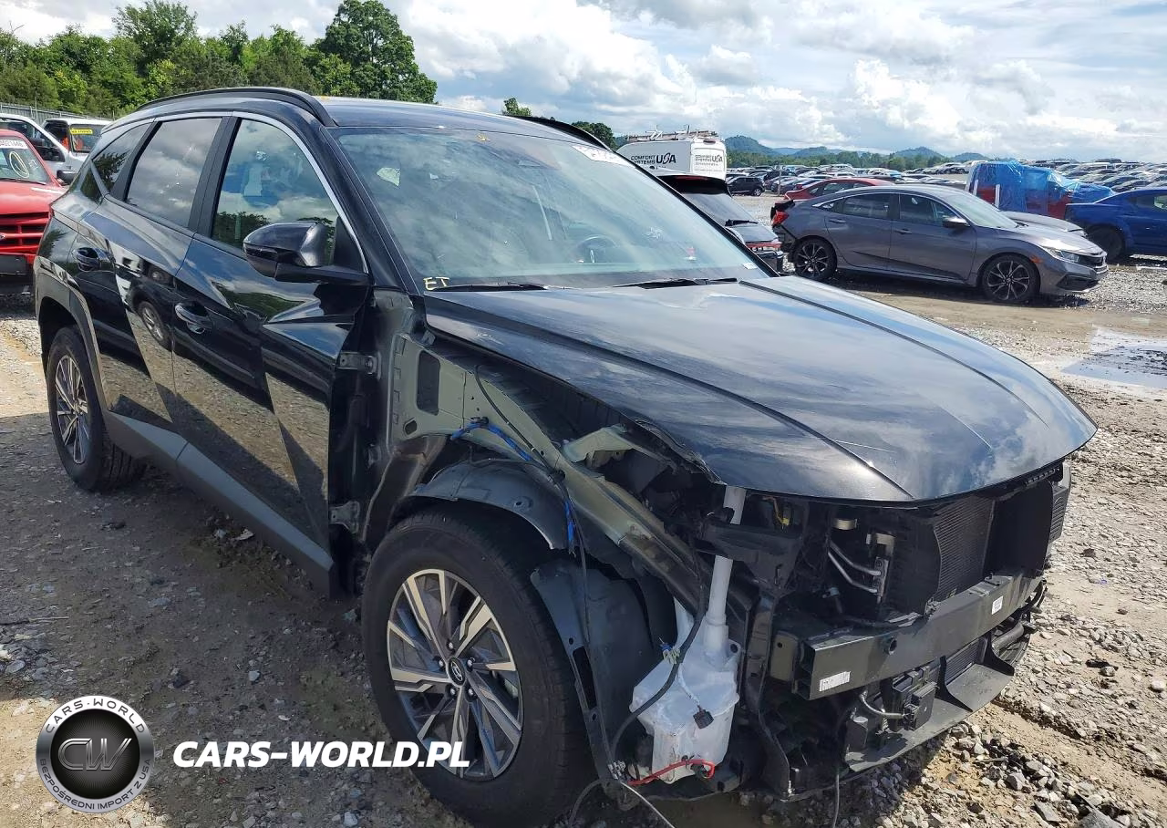 2023 Hyundai Tucson Blue VIN:KM8JBCA16PU094861 - 4