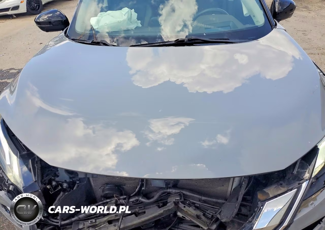 2023 Nissan Rogue Platinum VIN:JN8BT3DD0PW314189 - 12