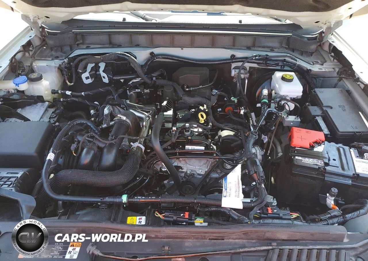 2024 Ford Bronco Big Bend VIN:1FMDE7AH8RLA07558 - 12