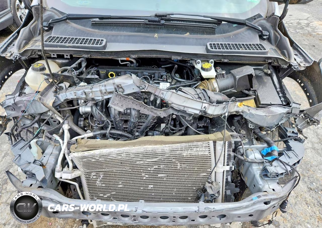 2019 Ford Escape S VIN:1FMCU0F78KUA90799 - 12