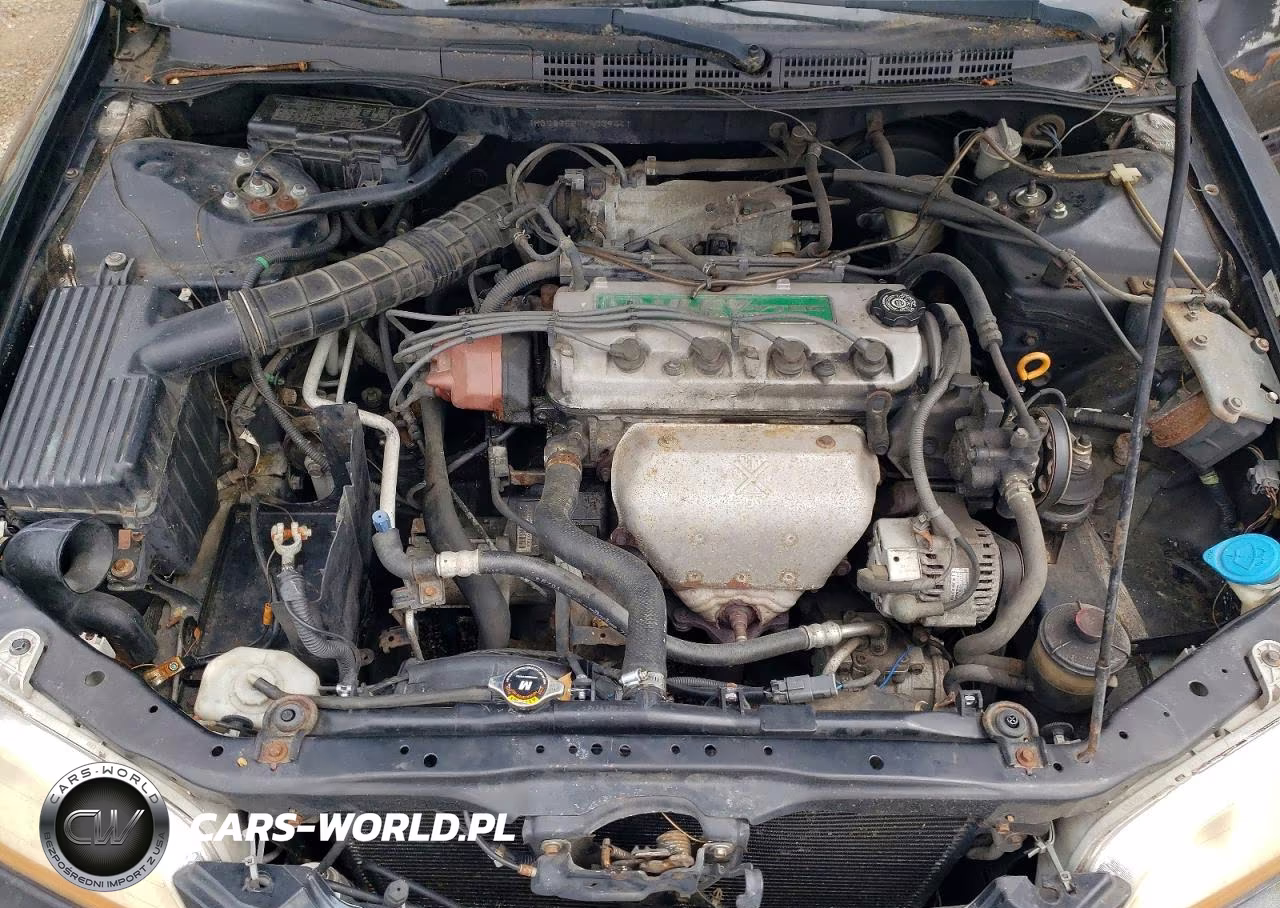 2000 Honda Accord Lx VIN:1HGCG6554YA039441 - 11