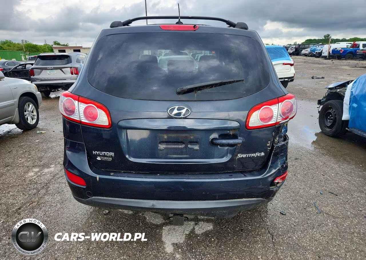 2010 Hyundai Santa Fe Gls VIN:5NMSG3AB8AH385525 - 6