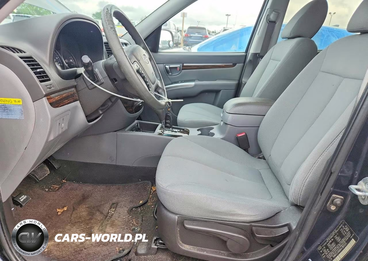 2010 Hyundai Santa Fe Gls VIN:5NMSG3AB8AH385525 - 7