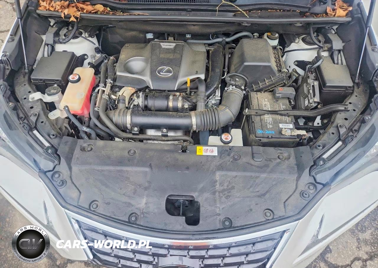 2018 Lexus Nx 300 Base VIN:JTJYARBZ8J2092428 - 12