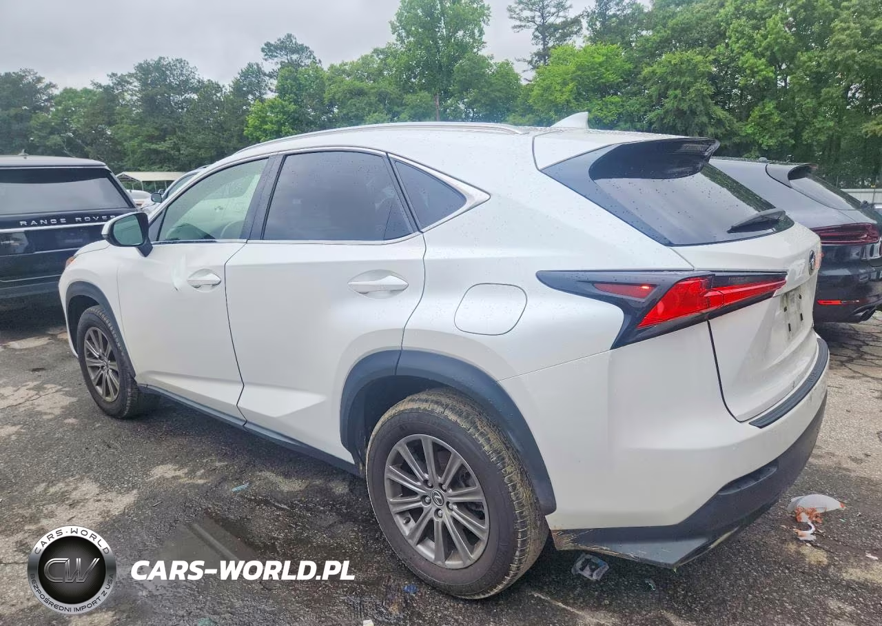 2018 Lexus Nx 300 Base VIN:JTJYARBZ8J2092428 - 2