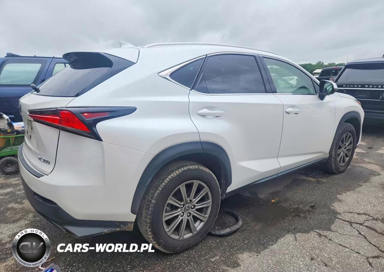 2018 Lexus Nx 300 Base VIN:JTJYARBZ8J2092428 - 3