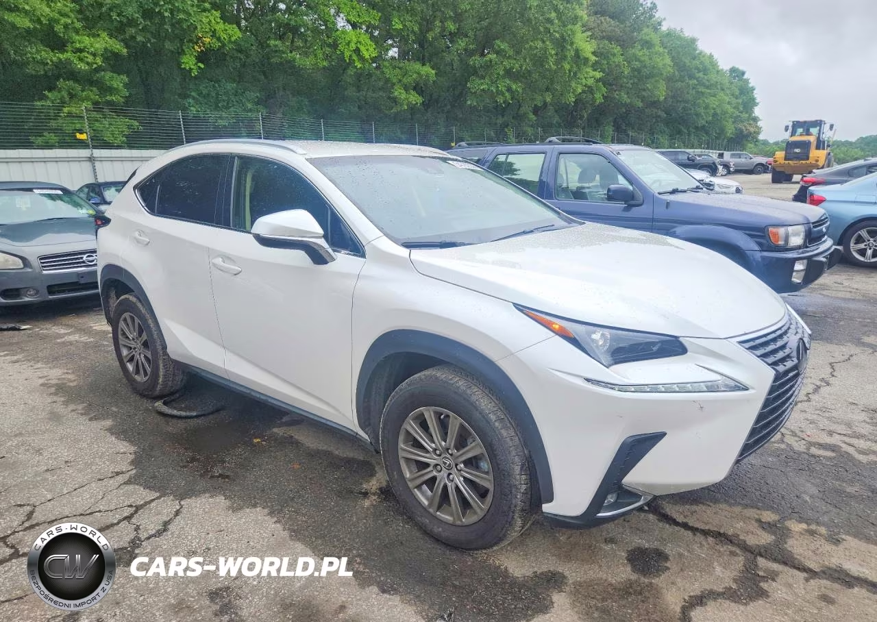 2018 Lexus Nx 300 Base VIN:JTJYARBZ8J2092428 - 4