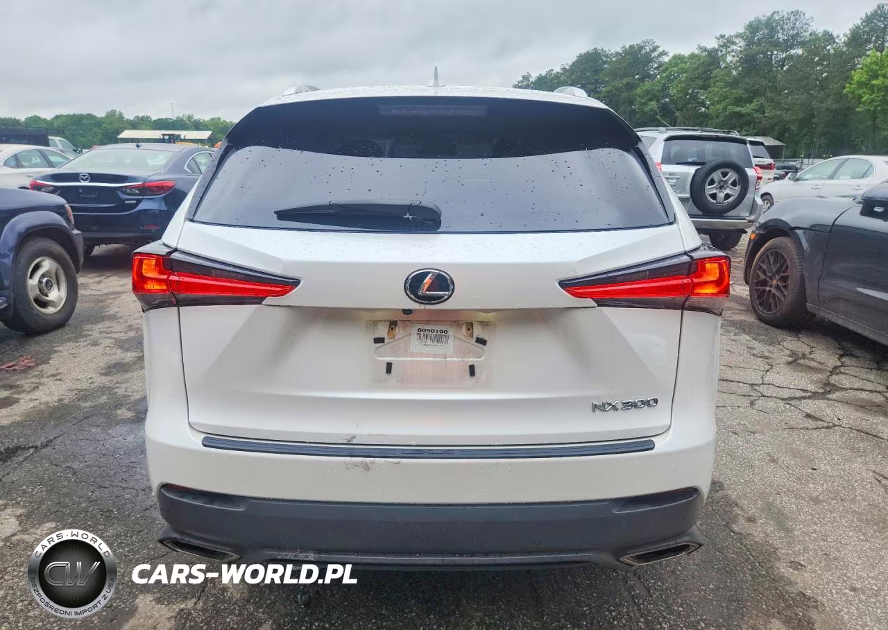 2018 Lexus Nx 300 Base VIN:JTJYARBZ8J2092428 - 6