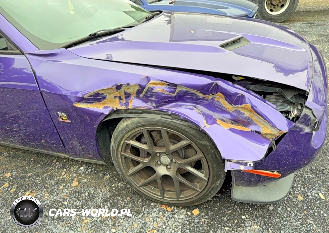 2016 Dodge Challenger R VIN:2C3CDZFJ3GH202590 - 11