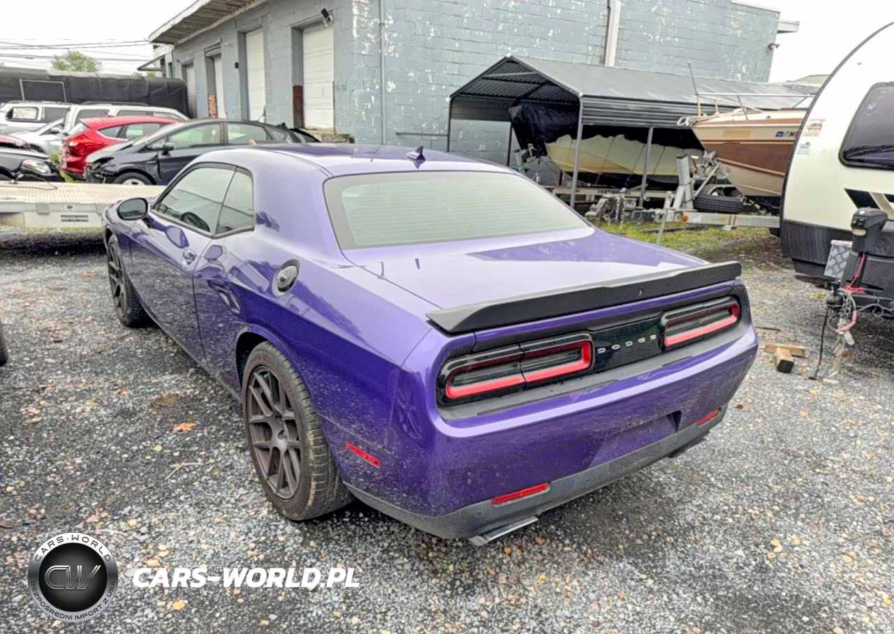 2016 Dodge Challenger R VIN:2C3CDZFJ3GH202590 - 3