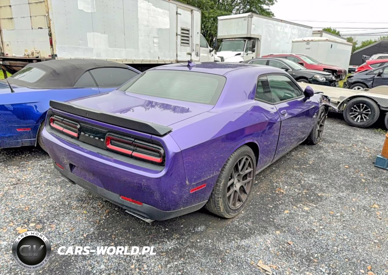 2016 Dodge Challenger R VIN:2C3CDZFJ3GH202590 - 4