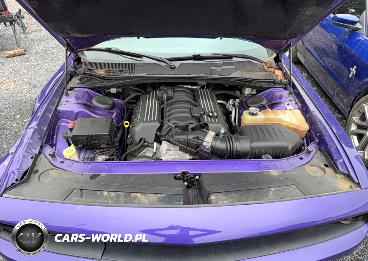 2016 Dodge Challenger R VIN:2C3CDZFJ3GH202590 - 7