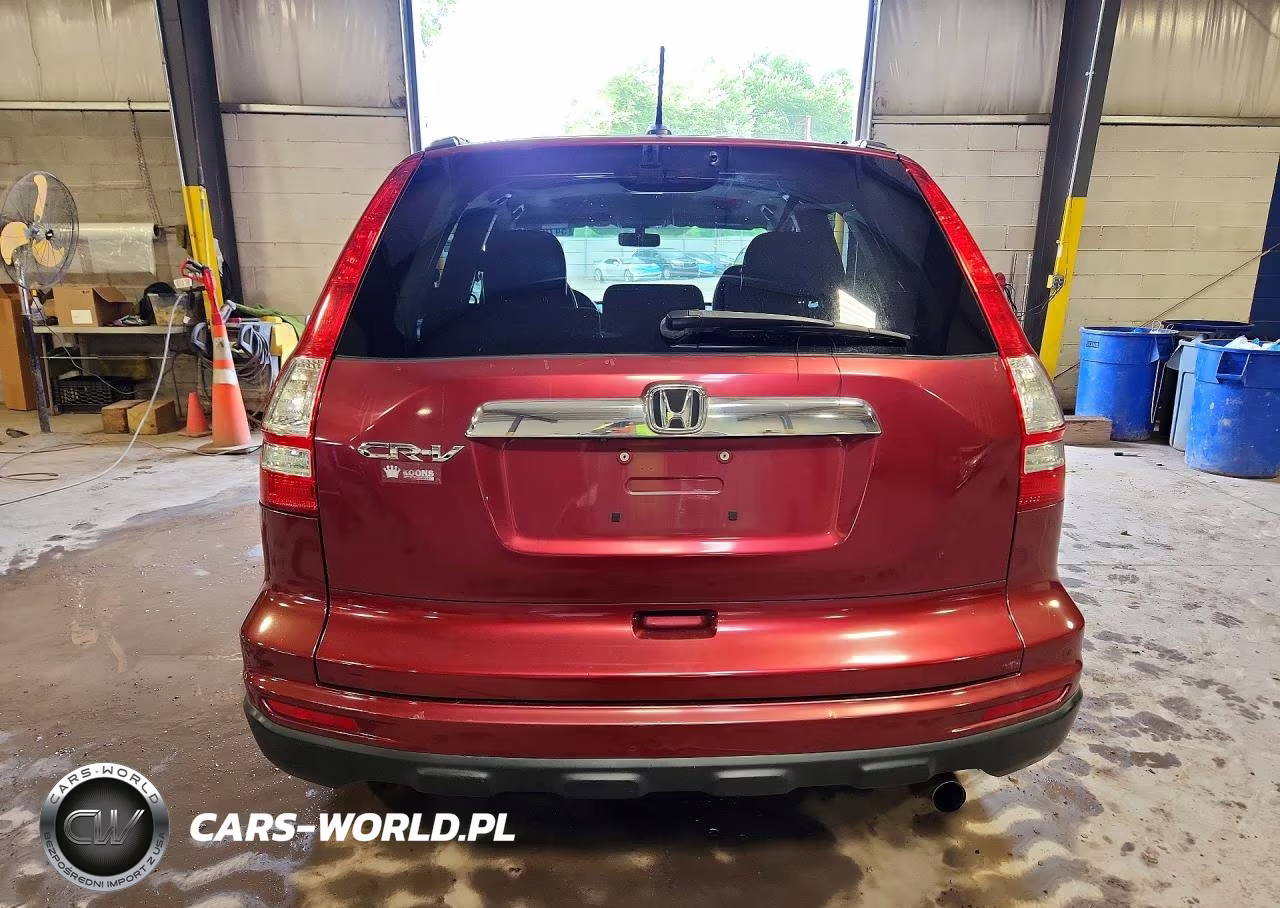 2010 Honda Cr-V Exl VIN:5J6RE3H74AL048882 - 6