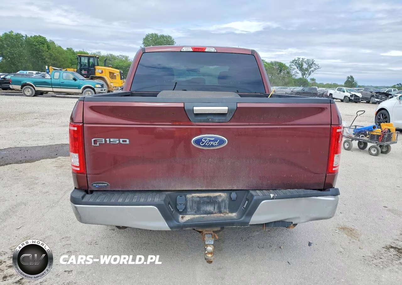 2016 Ford F150 Supercrew VIN:1FTEW1CP3GFC37060 - 6