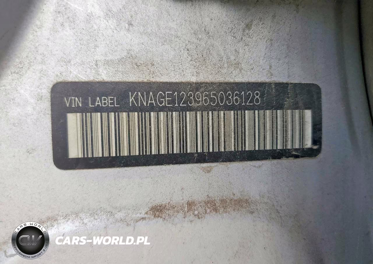 2006 Kia Optima Lx VIN:KNAGE123965036128 - 12
