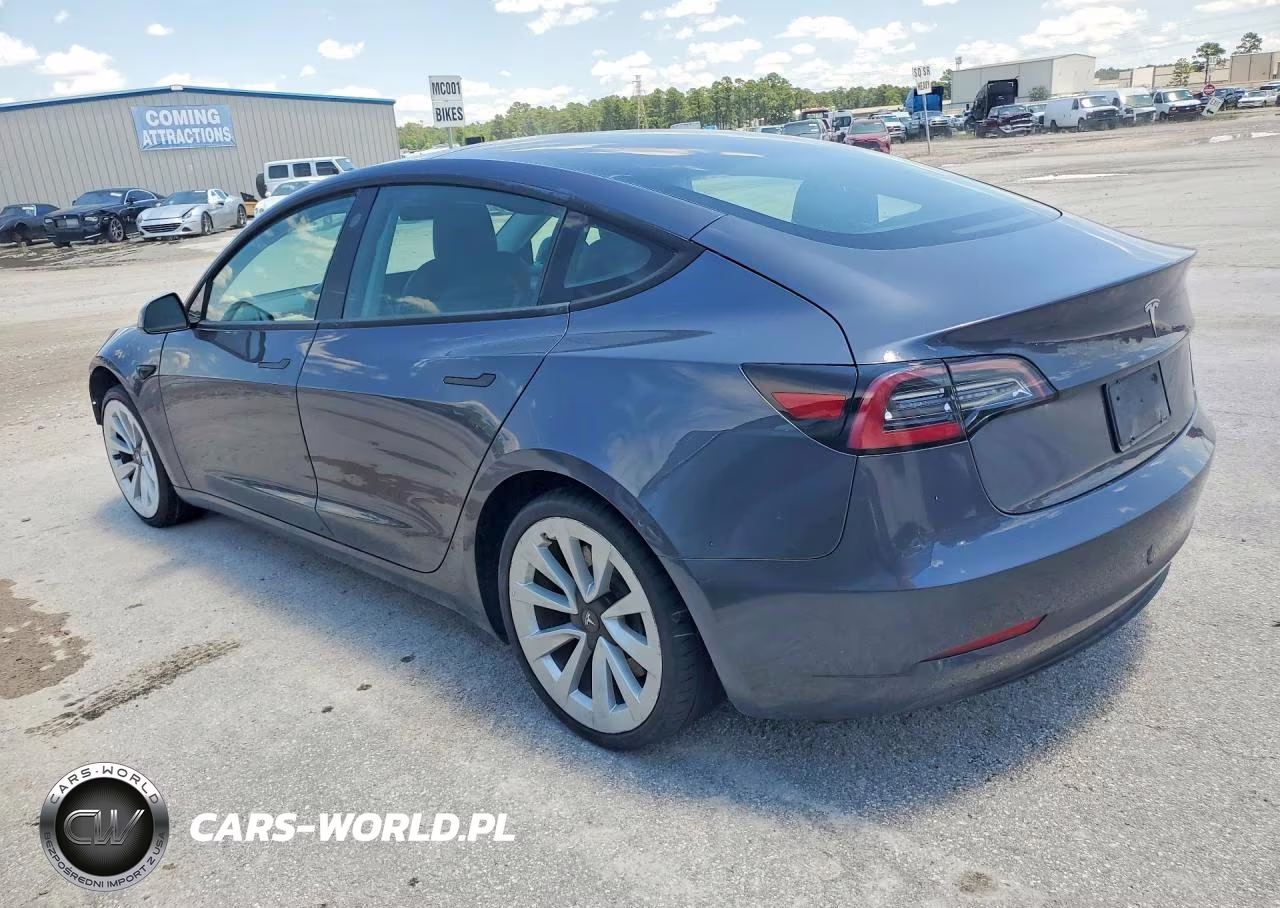2023 Tesla Model 3 VIN:5YJ3E1EA4PF429546 - 2