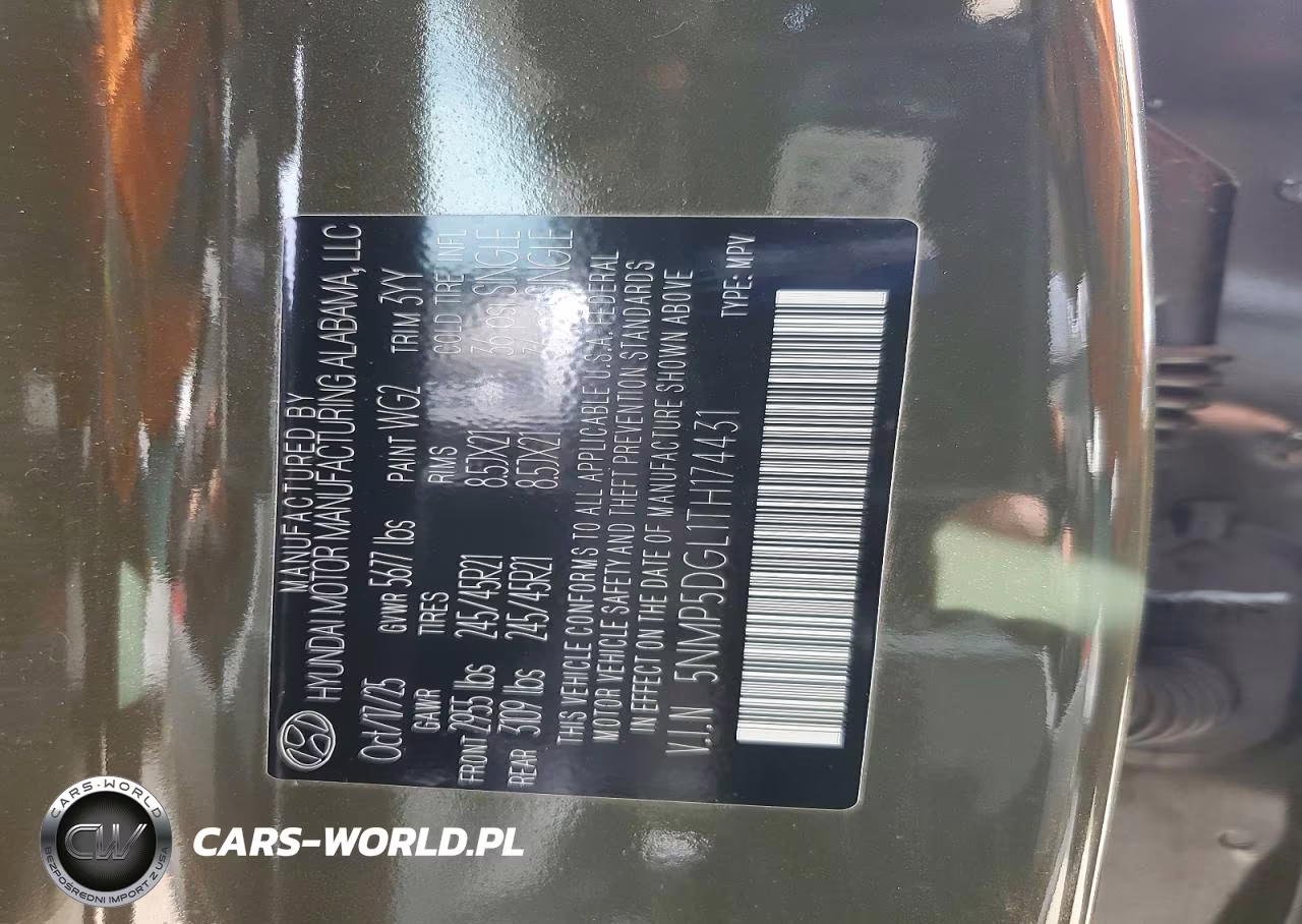 2026 Hyundai Santa Fe Calligraphy VIN:5NMP5DGL1TH174431 - 13