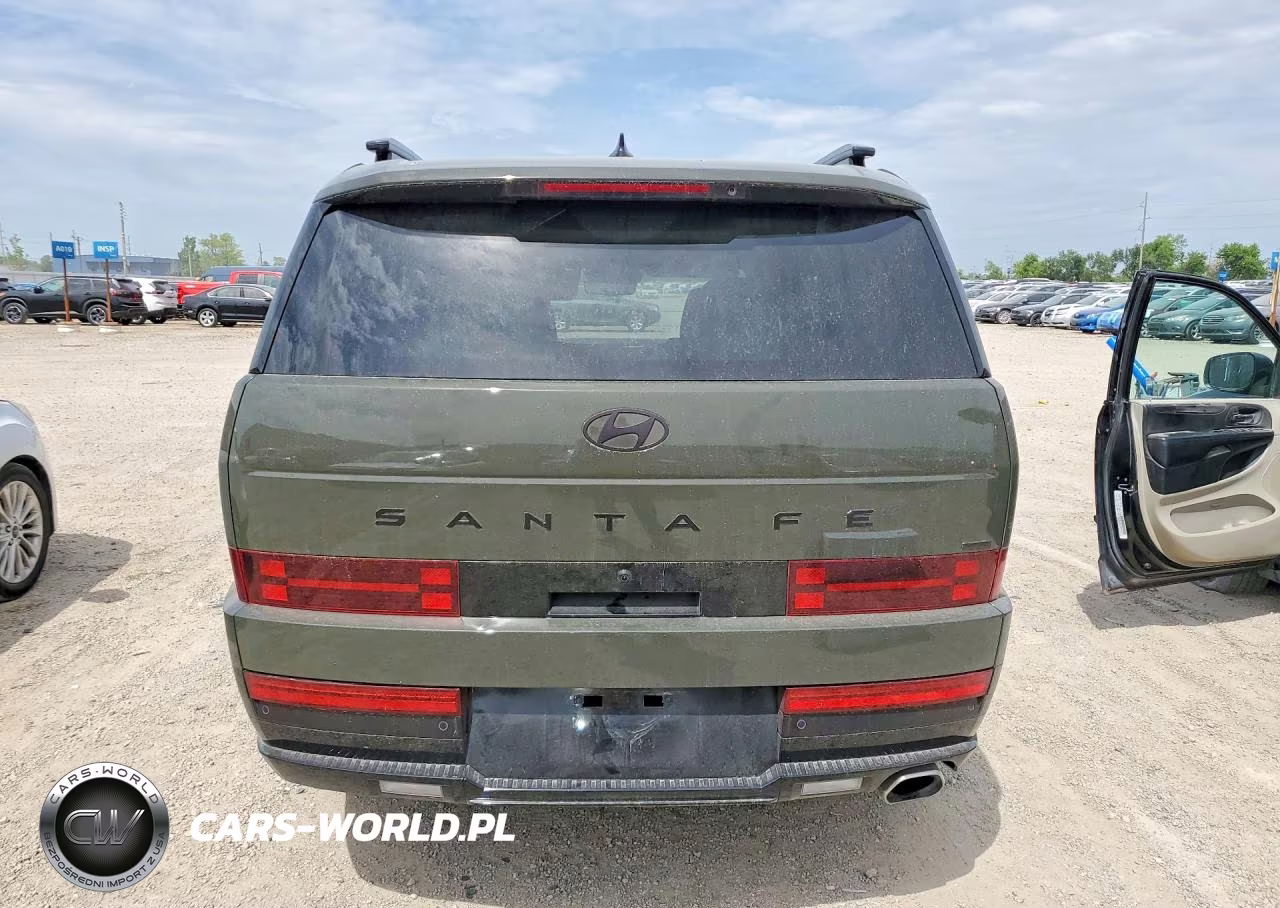 2026 Hyundai Santa Fe Calligraphy VIN:5NMP5DGL1TH174431 - 6